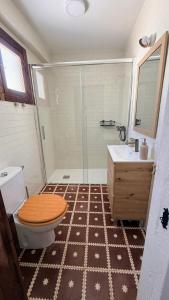 a bathroom with a shower and a toilet and a sink at La Casa del Rey Alhamar in Arjona +25 photos