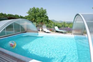a swimming pool with an iguana in the water at Németh Apartman in Kisapáti