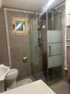 a bathroom with a shower with a toilet and a sink at Apartman Boro in Žabljak +12 photos