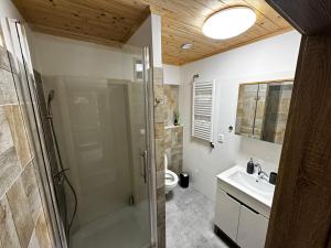 a bathroom with a shower and a sink and a toilet at Apartmány Moravský Kras Vavřinec in Vavřinec +69 photos