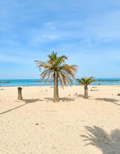 two palm trees on a sandy beach with the ocean at Approdo del Re in Grottammare