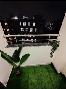 a balcony with green grass and a plant at HideAway in Hyderabad