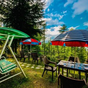 a group of chairs and tables with umbrellas at Aachman Nature Valley Resort MASHOBRA in Shimla