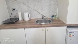 a kitchen counter with a sink and aaucet at Apartmani Filip Kitić in Kotor