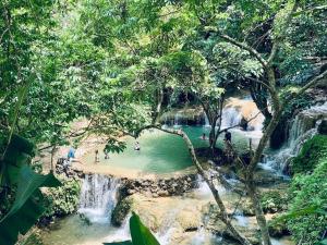 a waterfall in the jungle with people in the water at Homestay Hùng Phát Pù Luông in Làng Chiêu