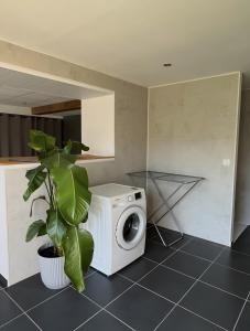 a washing machine in a kitchen with a plant at Appartement Gorges du Tarn in Mostuéjouls