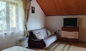 a living room with a couch and a television at Під зорями in Slavske