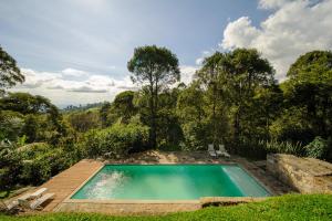 a swimming pool in the middle of a forest at Sirio in San Francisco