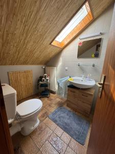 a bathroom with a toilet and a sink with a skylight at Spessartblick in Heimbuchenthal +12 photos
