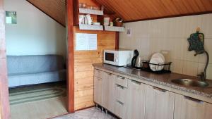 a kitchen with a sink and a microwave at Під зорями in Slavske