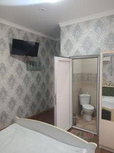 a bathroom with a toilet and a tv on the wall at Tyom in Khodzhabegi +22 photos