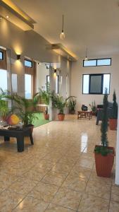 a lobby with potted plants and tables and windows at Height 909 Hostal in Juayúa