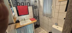 a small bathroom with a sink and a toilet at Gite chez kinou in Montans +7 photos
