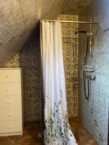 a bathroom with a shower with a shower curtain at Thorsagården in Listerby