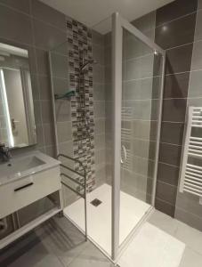 a bathroom with a glass shower and a sink at Charmant T2 Cosy - Sous les toits in Luxeuil-les-Bains +5 photos