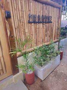 eine Gruppe von Pflanzen vor einem Holzzaun in der Unterkunft Lula House in El Nido + 8 Fotos