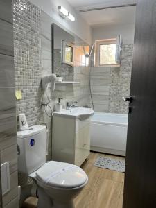 a bathroom with a toilet and a sink and a tub at Casa Bocan in Geoagiu Băi +20 photos