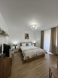 a bedroom with a large bed and a television at Casa Bocan in Geoagiu Băi