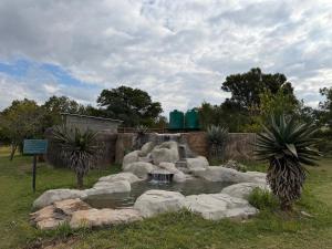 a pond in a garden with rocks and plants at Tranquility Campsite in Winterton +5 photos
