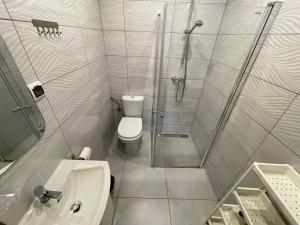 a bathroom with a shower and a toilet and a sink at Na Papierni in Klucze