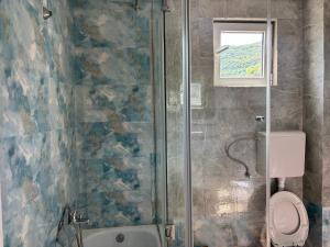 a bathroom with a shower and a toilet at Galicia Hill in Boreti +23 photos