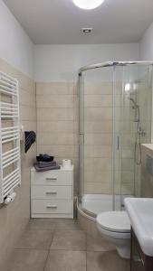a bathroom with a shower and a toilet and a sink at Old Town Apartment Opole in Opole +13 photos