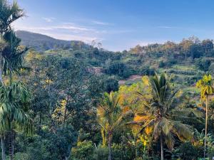 a view of a jungle with palm trees and mountains at The Aurelian in Ella