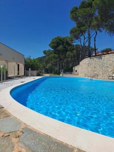 a large swimming pool with blue water at Chioma verde in Chioma