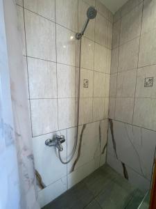 a shower with a shower head in a bathroom at Blue House 2 in Paliouri +17 photos