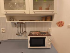 a kitchen with a microwave and a counter top at Podchlumský mlýn in Semechnice