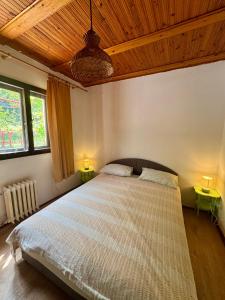 a bedroom with a large bed with two lamps at Vikendica Jazina in Lastva