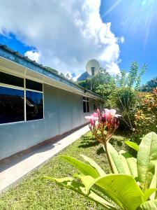 a house with a plant in front of it at Ritualodge in Bora Bora +12 photos