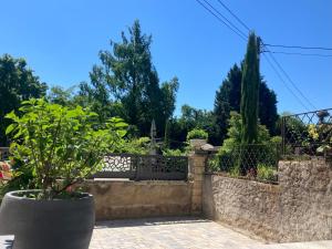 a garden with a stone wall and a potted plant at Le Croissant de Lune in Ingersheim +13 photos