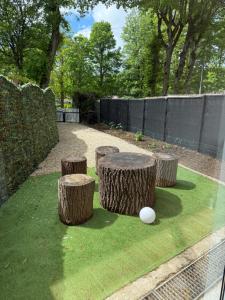 a group of tree stumps with a table and a ball at Le Grimpeur in Achères-la-Forêt