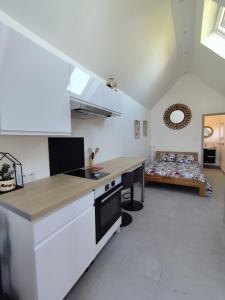 a kitchen with a counter and a bed in a room at La maison du hérisson in Flines-lès-Mortagne
