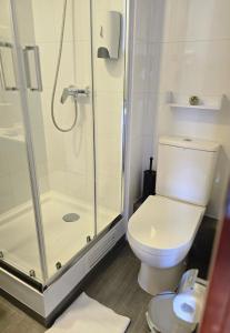 a bathroom with a toilet and a shower at PENINSULA DE CAVANCHA, Vista ESPECTACULAR in Iquique