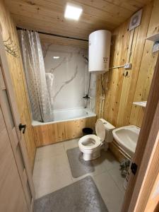 a bathroom with a toilet and a tub and a sink at Naryn Barnhouses in Naryn
