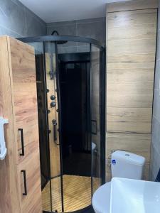 a bathroom with a shower with a toilet and a sink at Nest Haus in Ludwikowice Kłodzkie +35 photos
