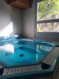 a jacuzzi tub in a room with a window at Appartement Vignec proche Saint-Lary in Vignec