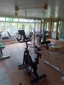 a gym with treadmills and exercise bikes in it at Appartement Vignec proche Saint-Lary in Vignec
