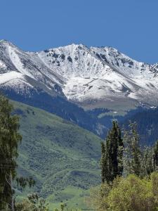 a snow covered mountain with trees in the foreground at Guesthouse Chon - Kemin in Shabdan