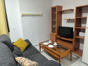 a living room with a couch and a tv at Lux Sevilla Elegance in Seville