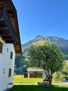 a tree in front of a building with a mountain at Cosy studio apartment in Splügen in Splügen