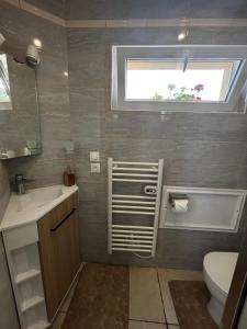 a bathroom with a sink and a toilet and a window at Le Nid d'escale in Tillé
