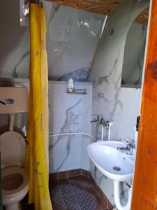 a bathroom with a sink and a toilet at Cottage MANSION in Žabljak