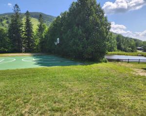 a basketball hoop in a field next to a lake at Mittersill Alpine Resort in Franconia