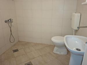 a bathroom with a toilet and a sink at Apartman Pavle Virpazar in Virpazar