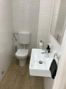 a white bathroom with a toilet and a sink at Apartman Orkic in Vodnjan +20 photos