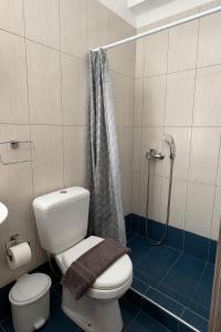 a bathroom with a toilet and a shower at Serene Stay Kythnos in Flampouria