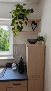 a kitchen with a counter with a plant on a shelf at 2 Zimmer Ferienwohnung nahe Schweiz in Bad Säckingen